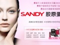 SANDY胶原蛋白代理