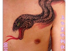 寒冰刺纹身最新作品